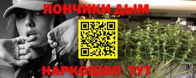 шишки Краснодар