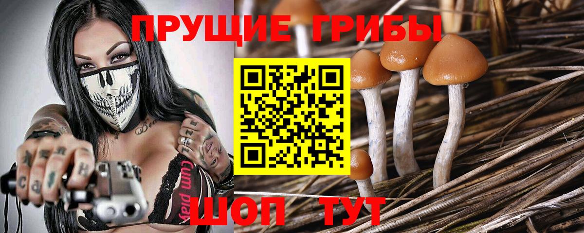 Псилоцибиновые грибы Cubensis Электросталь