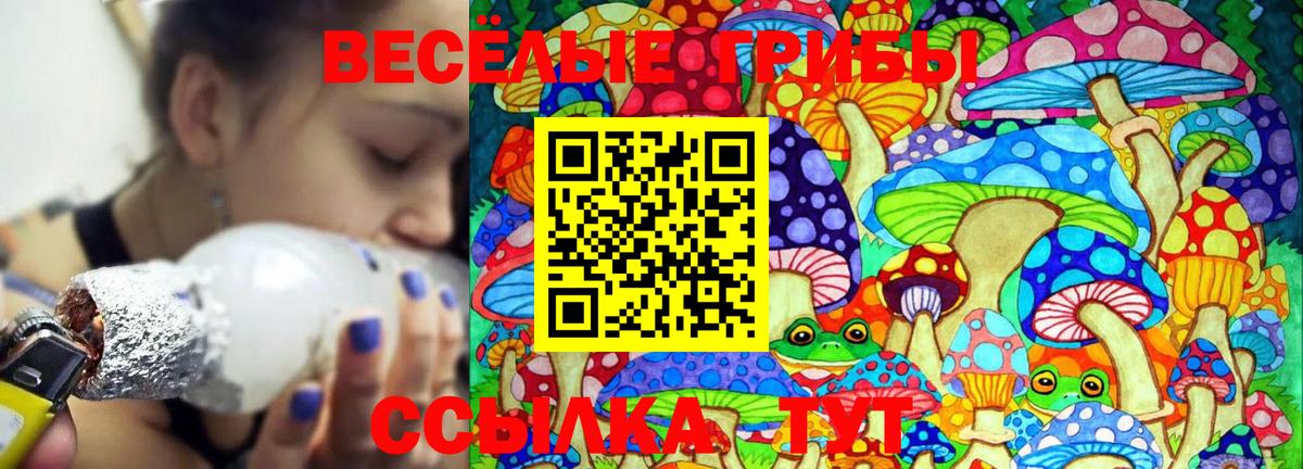 как найти   Вход с VPN  Электросталь  Псилоцибиновые грибы MAGIC MUSHROOMS 